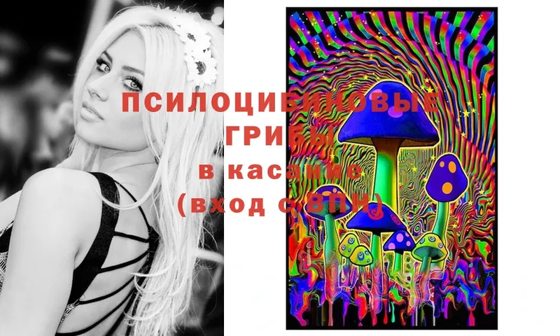 Псилоцибиновые грибы MAGIC MUSHROOMS  цены наркотик  Дедовск 